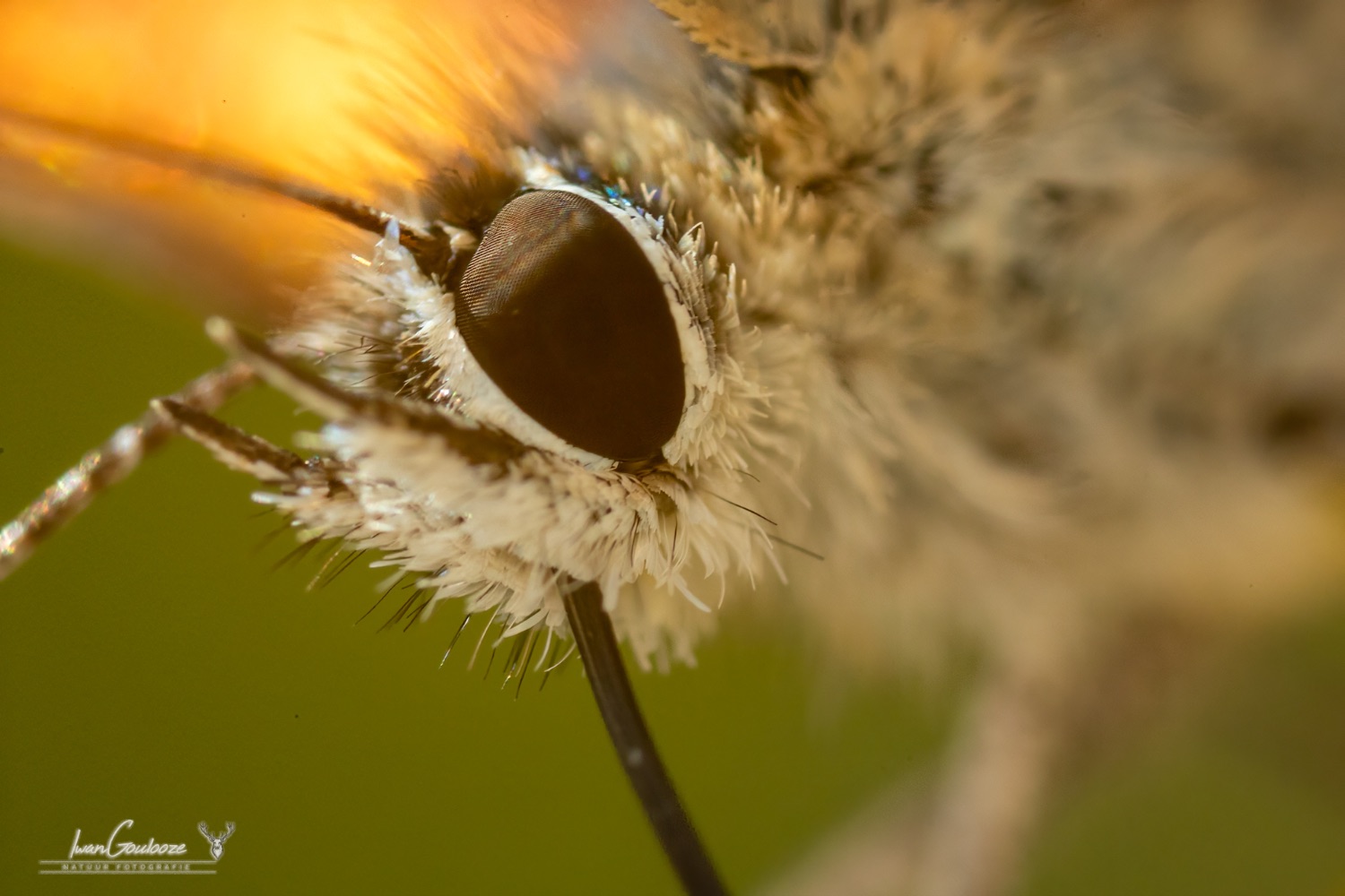 18 september 2023 121413  R2A5894 bewerkt